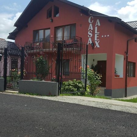 Vila Alex Ξενοδοχείο Călimăneşti Εξωτερικό φωτογραφία