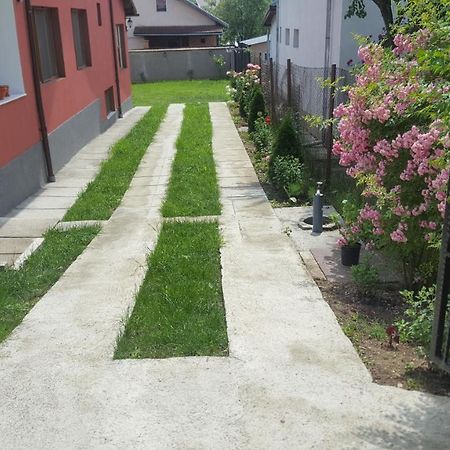 Vila Alex Ξενοδοχείο Călimăneşti Εξωτερικό φωτογραφία