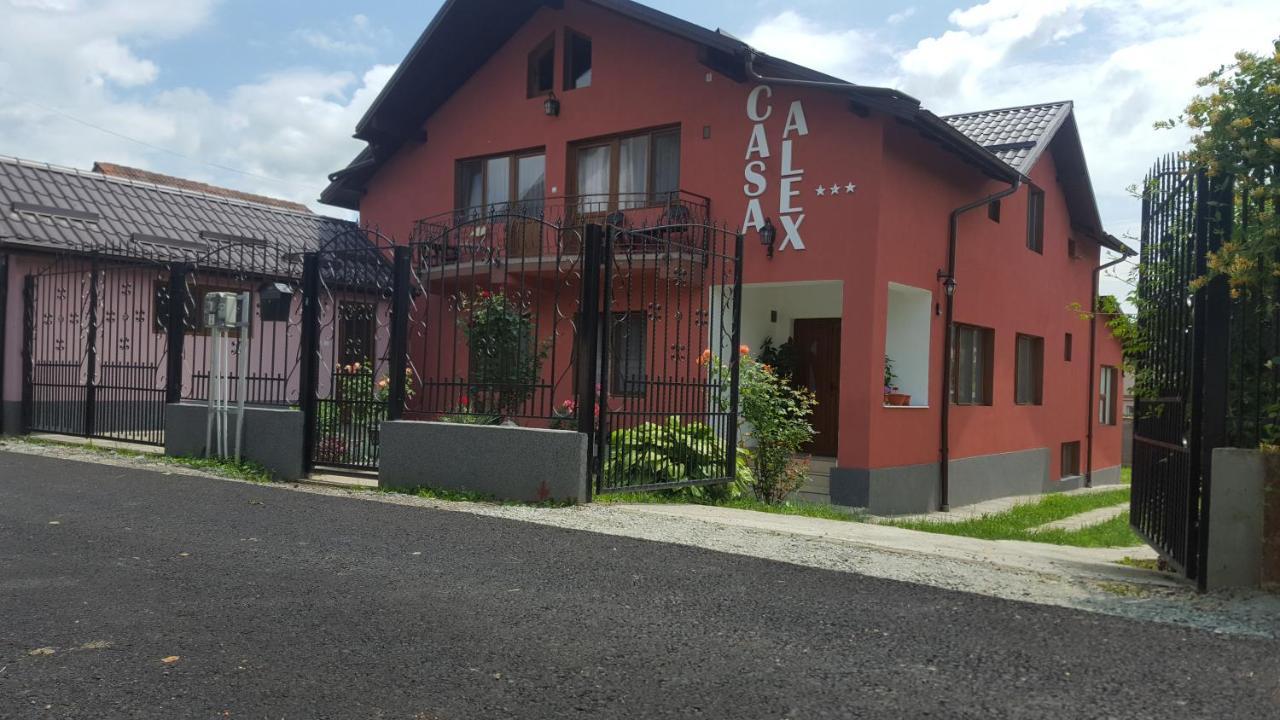 Vila Alex Ξενοδοχείο Călimăneşti Εξωτερικό φωτογραφία