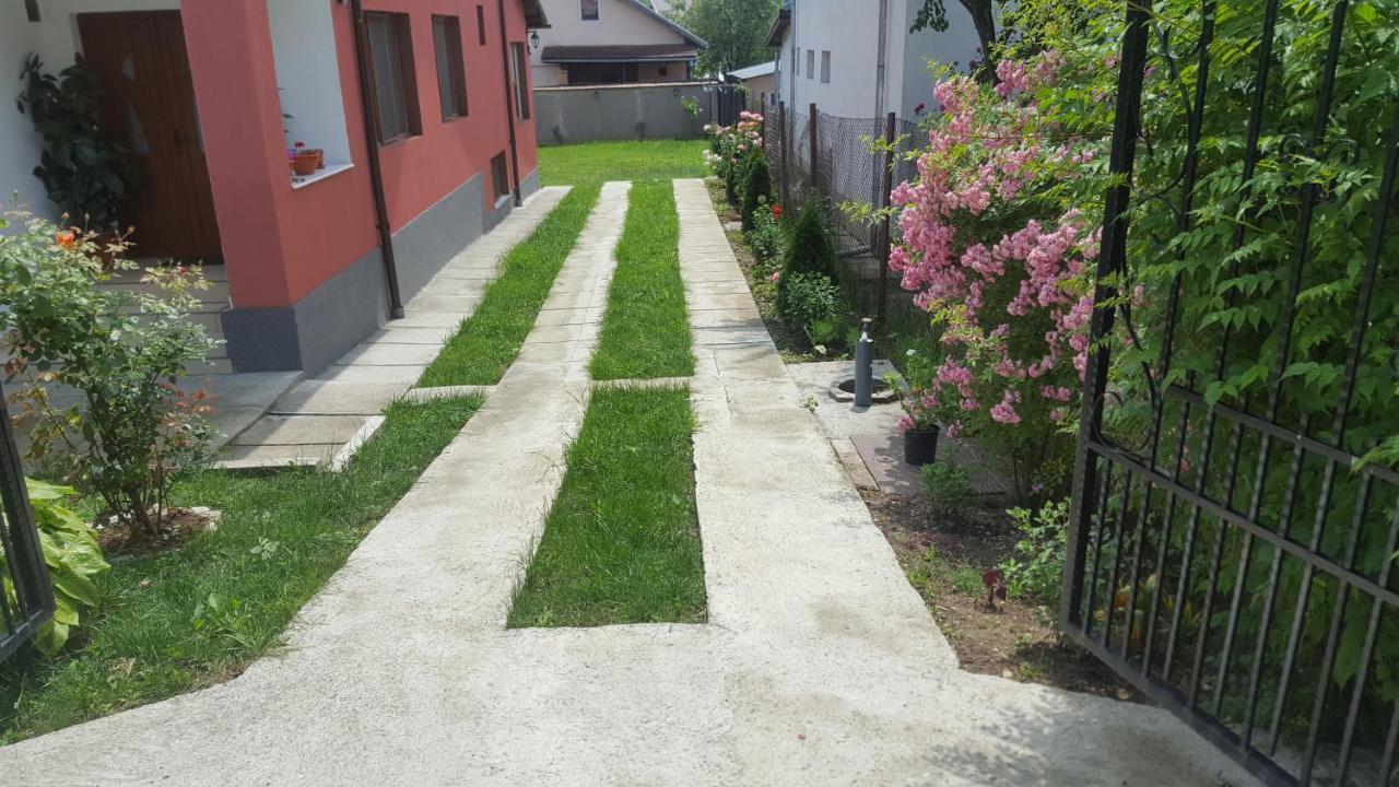 Vila Alex Ξενοδοχείο Călimăneşti Εξωτερικό φωτογραφία