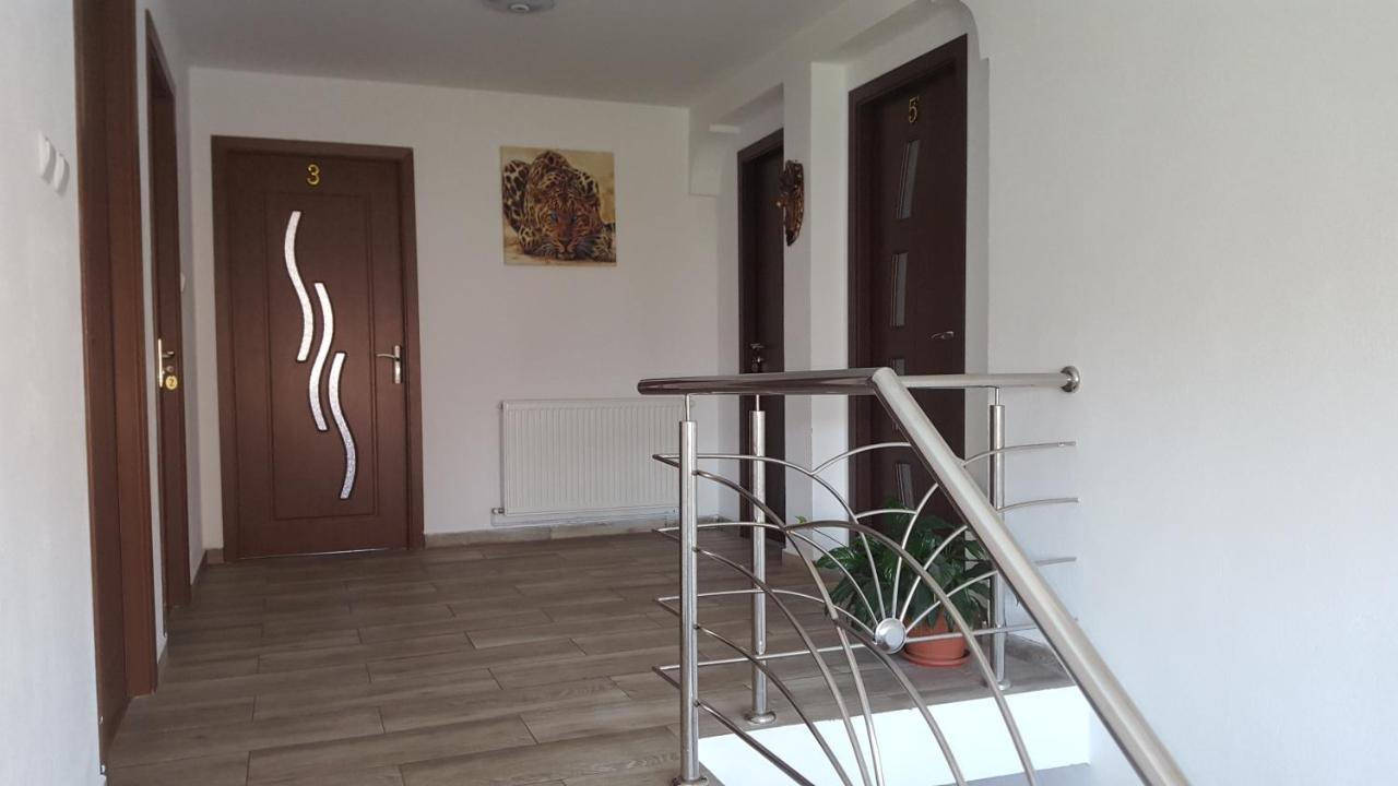 Vila Alex Ξενοδοχείο Călimăneşti Εξωτερικό φωτογραφία