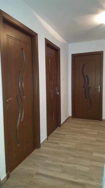 Vila Alex Ξενοδοχείο Călimăneşti Εξωτερικό φωτογραφία