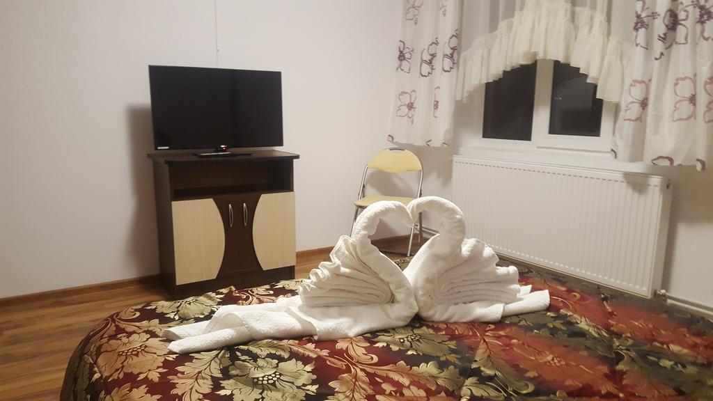 Vila Alex Ξενοδοχείο Călimăneşti Εξωτερικό φωτογραφία