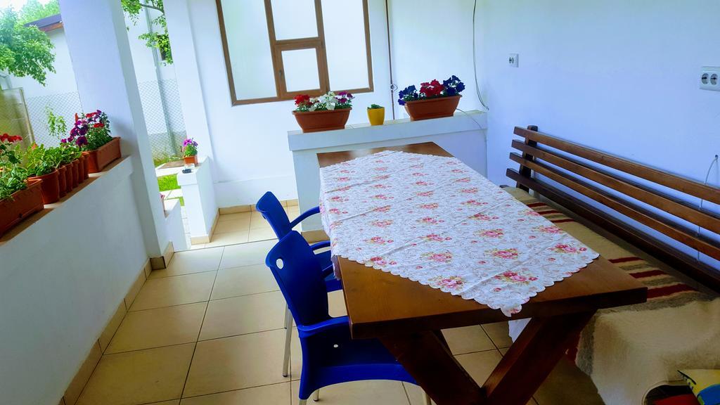 Vila Alex Ξενοδοχείο Călimăneşti Εξωτερικό φωτογραφία