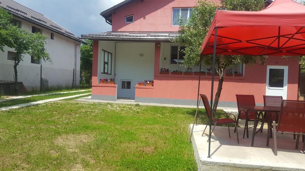 Vila Alex Ξενοδοχείο Călimăneşti Εξωτερικό φωτογραφία