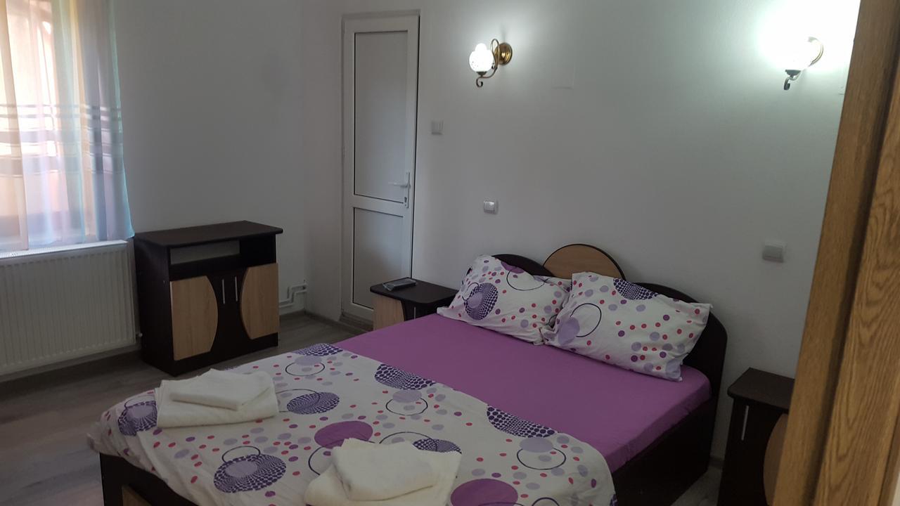 Vila Alex Ξενοδοχείο Călimăneşti Εξωτερικό φωτογραφία