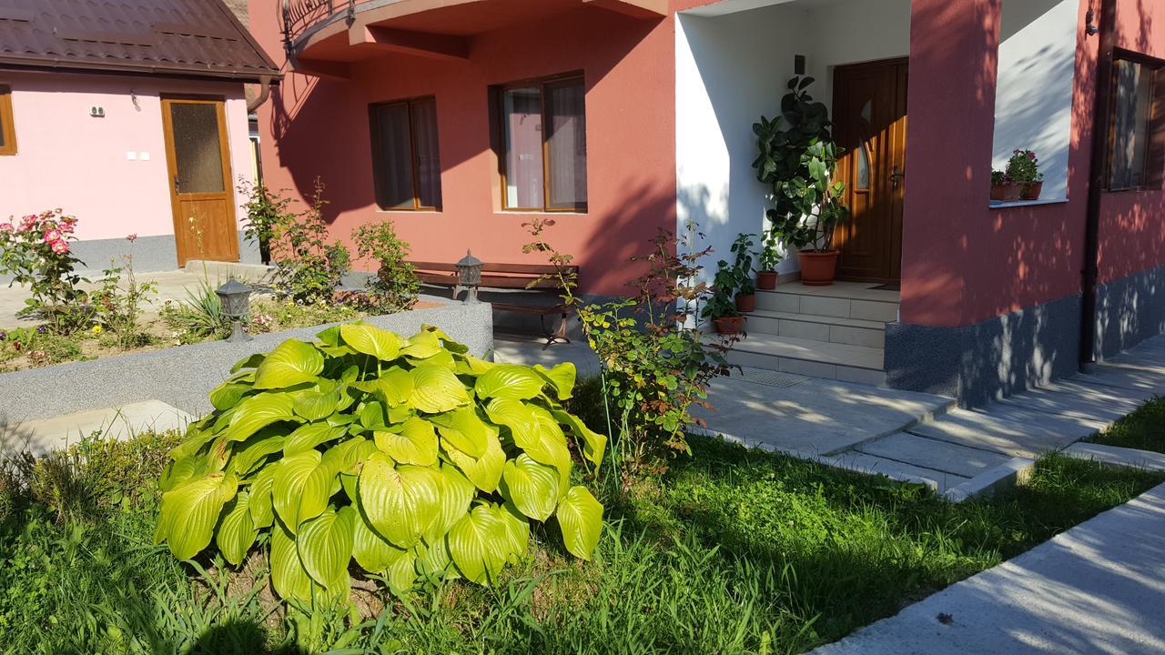 Vila Alex Ξενοδοχείο Călimăneşti Εξωτερικό φωτογραφία
