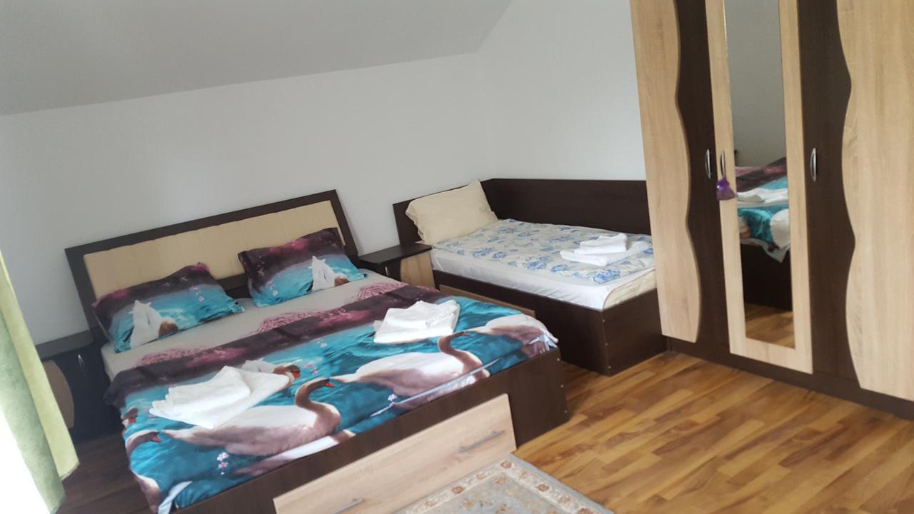 Vila Alex Ξενοδοχείο Călimăneşti Εξωτερικό φωτογραφία