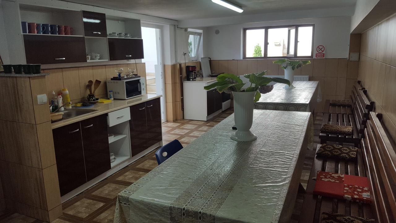 Vila Alex Ξενοδοχείο Călimăneşti Εξωτερικό φωτογραφία