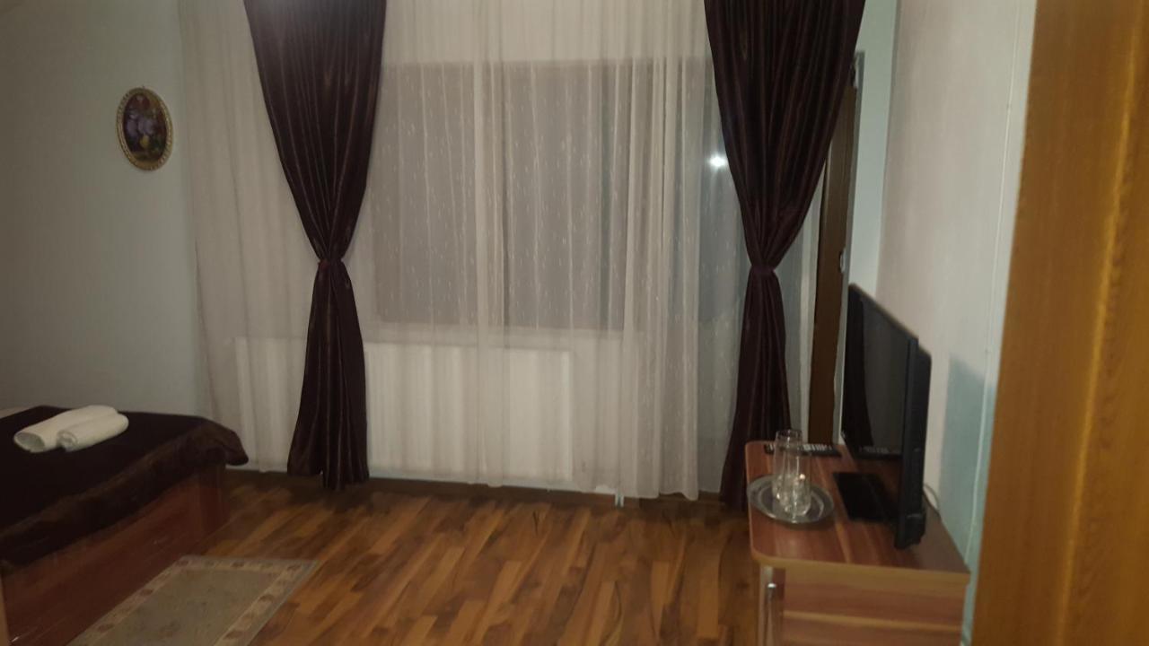 Vila Alex Ξενοδοχείο Călimăneşti Εξωτερικό φωτογραφία